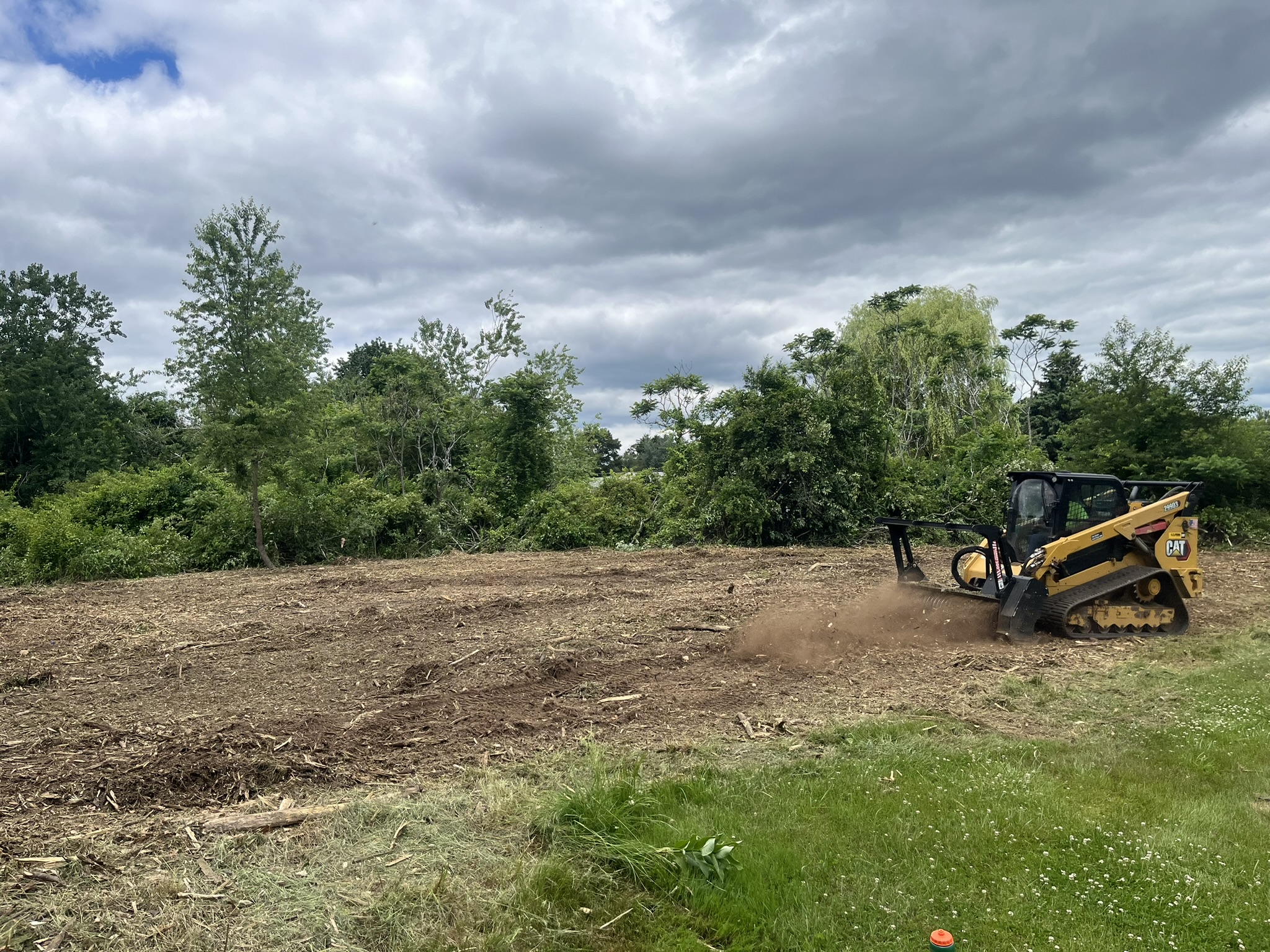 Stump Grinding services in CT