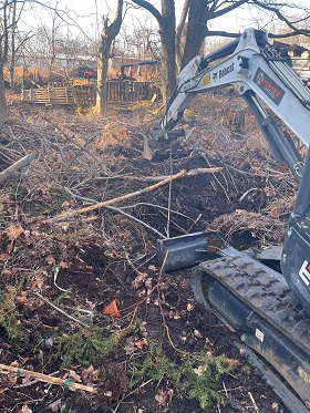 Brush clearing services in CT