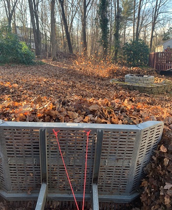 Fall yard clean up and leaf removal services in CT