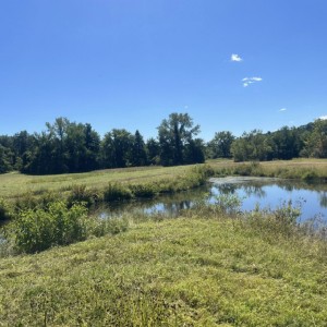 536273408_1379004474232825_7473648205264648268_n.jpg