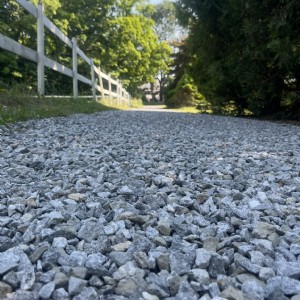 IMG_5273.JPEG
